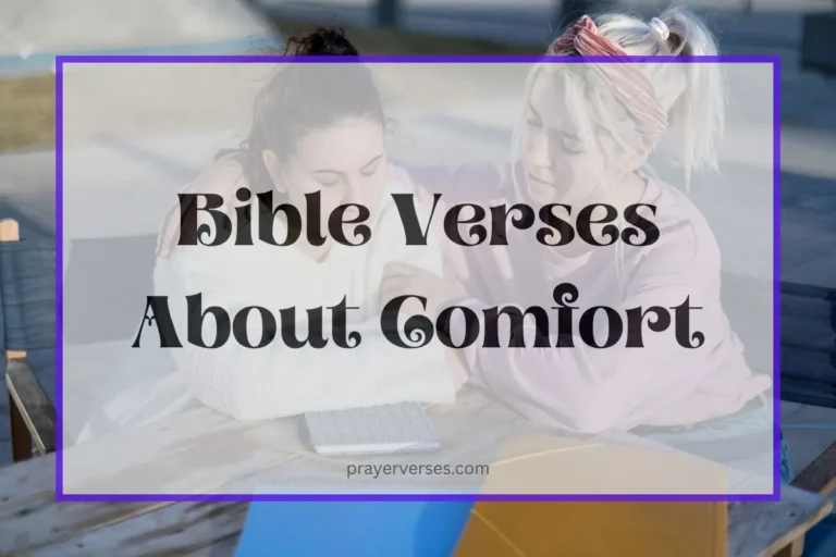 popular-bible-verses-about-comfort
