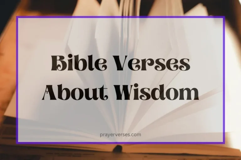 top-bible-verses-about-wisdom