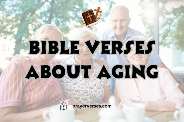 top-bible-verses-about-aging