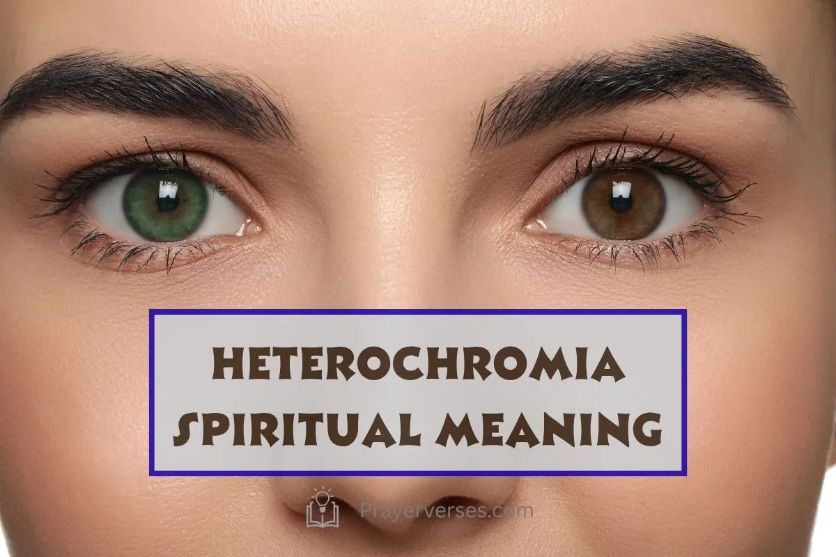 central-heterochromia-or-2-different-colored-eyes-spiritual-symbolism