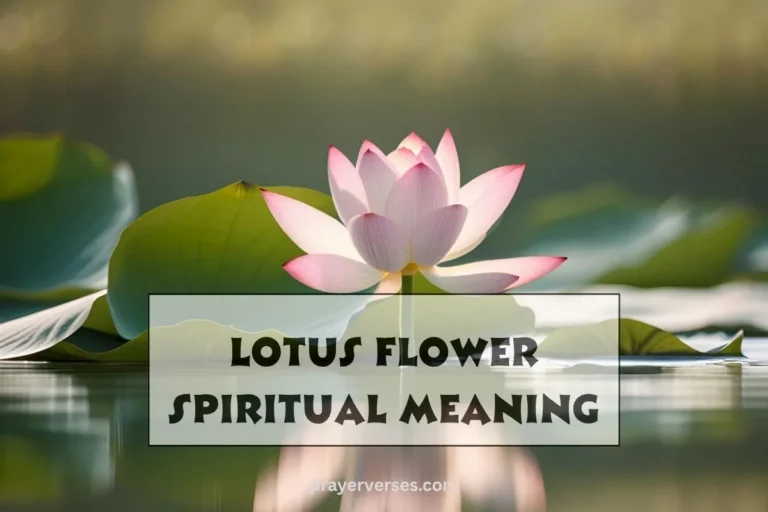 lotus-flower-spiritual-meaning-and-symbolism