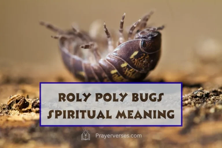 spiritual-meaning-of-pill-bugs-or-roly-poly