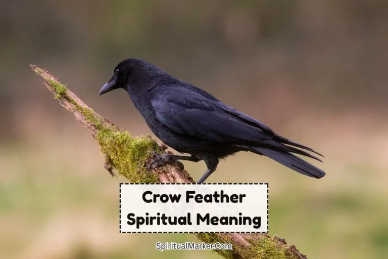 Crow-feather-spiritual-meaning-and-symbolism