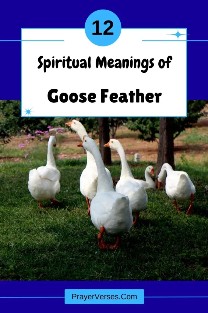 What-does-a-Goose-feather-symbolize