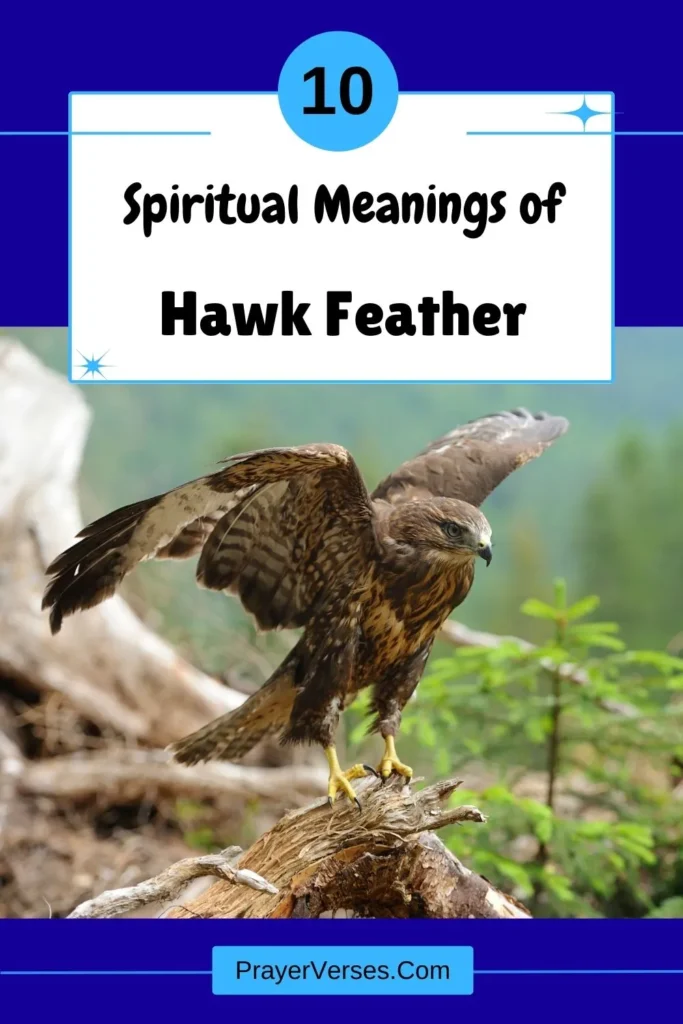 What-does-a-Hawk-feather-symbolize