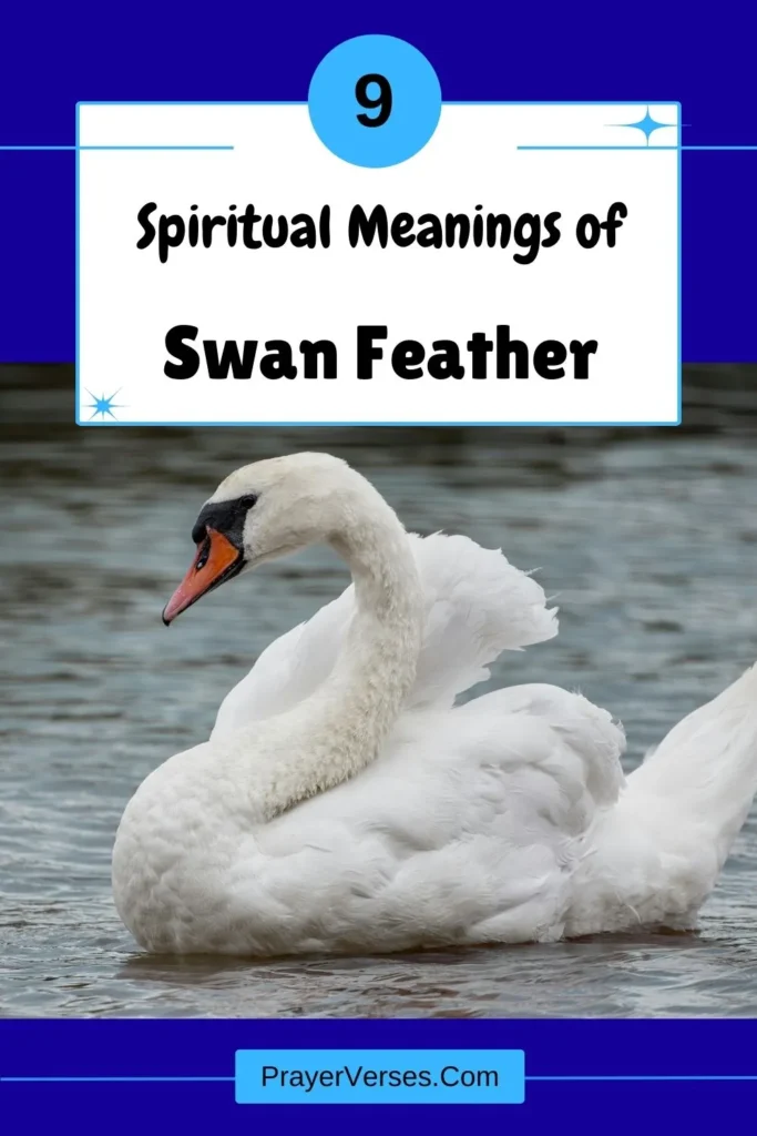 What-does-a-Swan-feather-symbolize