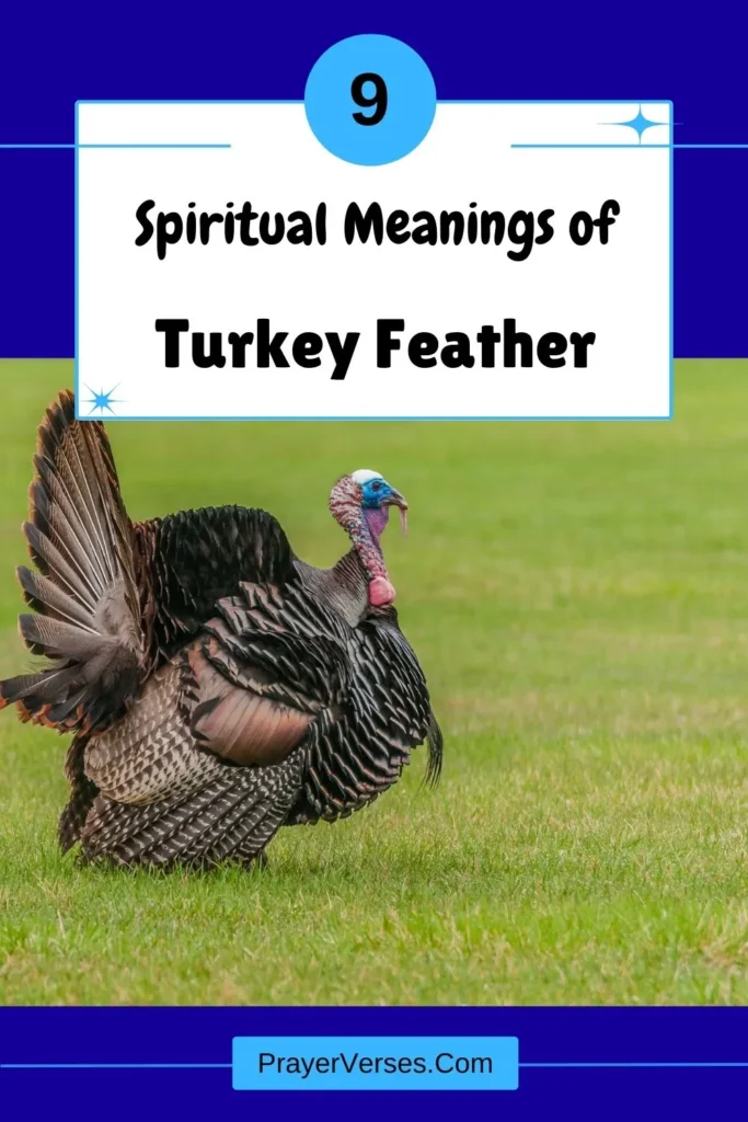 What-does-a-Turkey-feather-symbolize
