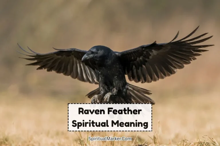 raven-feather-spiritual-meaning-and-symbolism