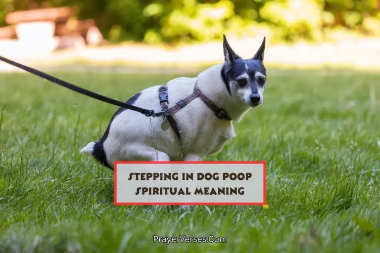 spiritual-meaning-of-stepping-in-dog-poop