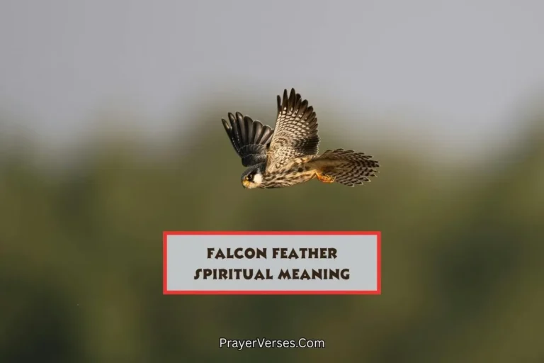what-does-falcon-feather-symbolize